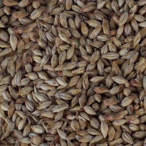 CHATEAU ABBEY MALT