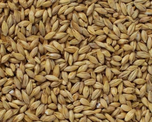 CHATEAU ACID MALT