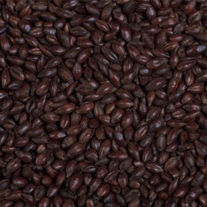 CHÂTEAU BLACK OF BLACK MALT