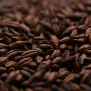 CHÂTEAU CHOCOLAT MALT