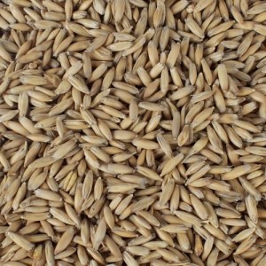 CHATEAU OAT MALT