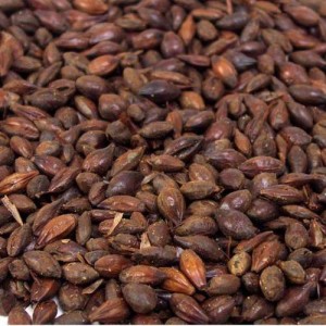 CHATEAU CAFE MALT