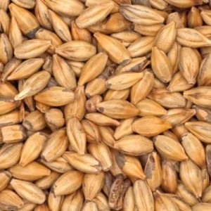 CHATEAU SMOKED MALT