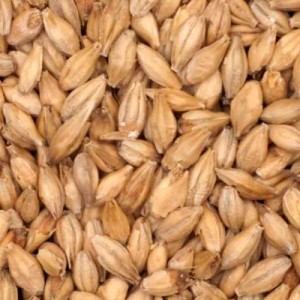 CHÂTEAU VIENNA MALT