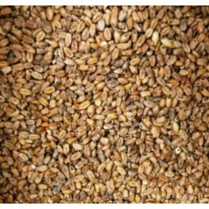 CHÂTEAU WHEAT MUNICH LIGHT 15 EBC MALT