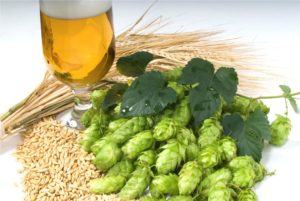 PREMIUM QUALITY HOPS | MALT | YEAST | SPICES. FOR THE PREMIUM BEER BREWING!