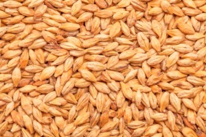 BESTCARAMEL®HELL MALT - BEST MALZ