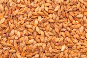 BEST CARAMEL®MUNICH II MALT - BEST MALZ