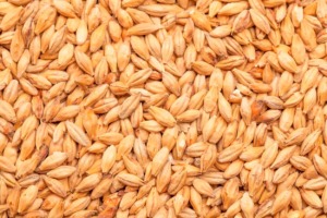 BEST MUNICH MALT - BEST MALZ