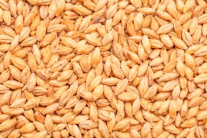 BEST PALE ALE MALT - BEST MALZ