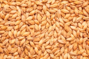 BEST RED X® MALT - BEST MALZ