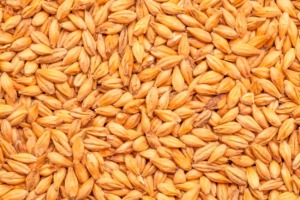 BEST SMOKED MALT - BEST MALZ