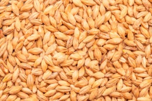 BEST VIENNA MALT - BEST MALZ