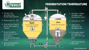 One of the primary differences between ale and lager yeast is the fermentation temperature. Ale yeast, such as AEB’s Fermoale AY3, typically ferments at warmer temperatures, between 60°F to 75°F (15°C to 24°C). This temperature range encourages the development of more complex and robust flavors, often described as fruity and spicy. The warmer fermentation environment also accelerates the metabolic activity of the yeast, increasing the rate of fermentation and the production of carbon dioxide. This increased activity causes the ale yeast to rise to the top of the fermentation vessel, a behavior characteristic of top-fermenting yeasts. On the other hand, lager yeast, like AEB’s Fermolage Berlin, ferments at significantly cooler temperatures, generally between 42°F to 55°F (6°C to 13°C). These lower temperatures slow down the fermentation process, resulting in a cleaner and crisper taste with fewer byproducts. The cooler environment inhibits the formation of esters and phenols, compounds that contribute to fruity and spicy flavors, thus leading to a more refined and neutral flavor profile in the finished beer. DVKSP, a trusted supplier of premium Hops, Malts, Spices and Brewing Yeast ingredients, offers a wide range of yeast products that meet these fermentation needs.