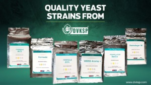 Our extensive range of yeast offerings includes strains specifically designed for ale and lager production, as well as cutting-edge hybrid strains for experimental brews. Sourced from reputable manufacturers like AEB, DVKSP’s yeast products are meticulously selected to meet the highest standards of quality and performance. Our team of experts works closely with brewers to understand their unique requirements and provide tailored solutions that enable them to achieve their desired flavor profiles and brewing objectives.