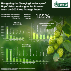 Navigating the Changing Hop Market: Brewer's Guide 2024 with DVKSP. Discover key insights and strategies from the 2024 hop acreage report to help brewers adapt and thrive with DVKSP Premium Hops & Malts.