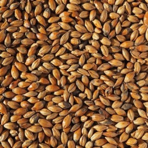 Crisp-Brown-Malt