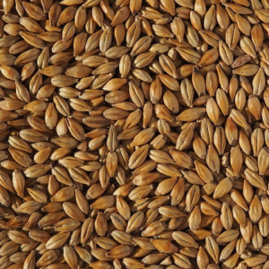 Crisp-Cara-Gold-Malt