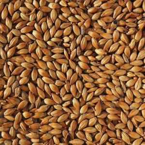 Crisp-Crystal-240-Malt