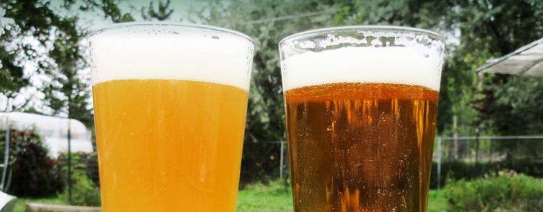 Beer